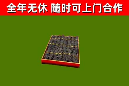 荷泽回收海参
